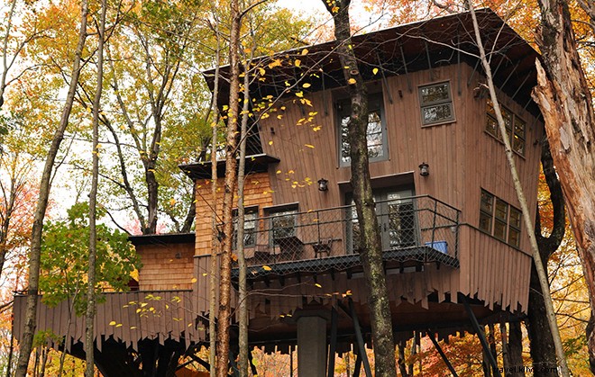 9 Exceptional Treehouse Hotels Across the U.S. for Unforgettable Stays